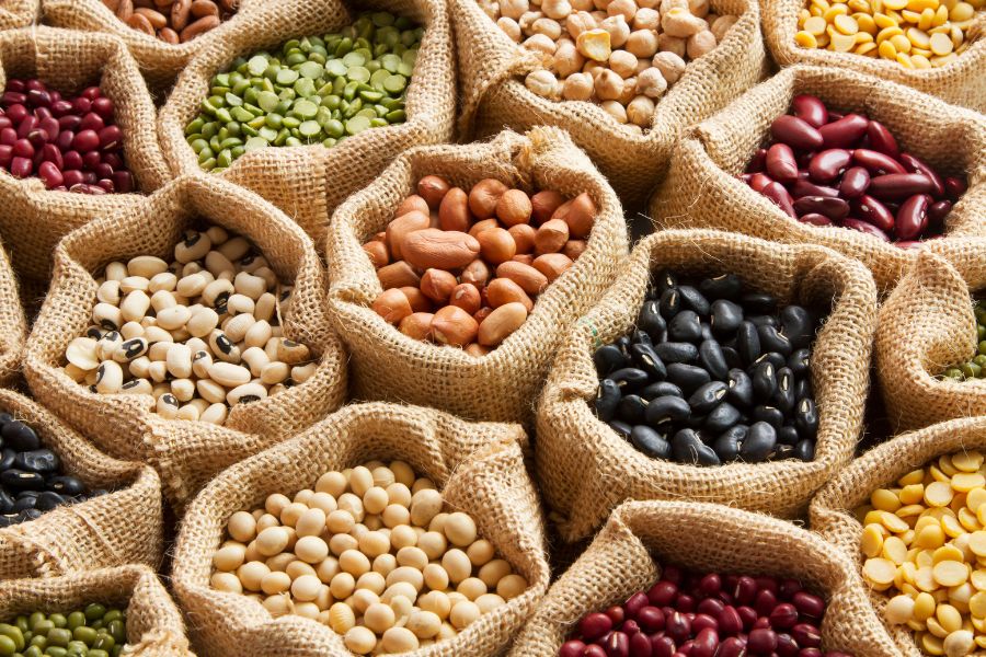 alimentation durable légumineuses