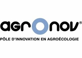 Dijon - Agronov