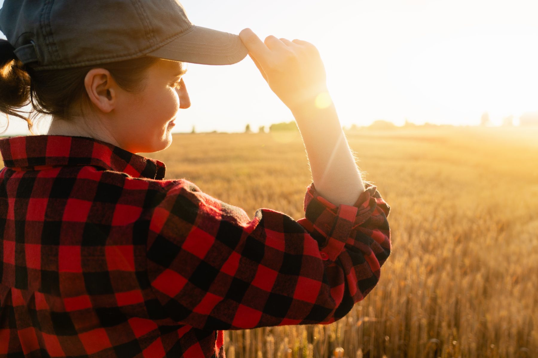 métiers pour vivre à la campagne