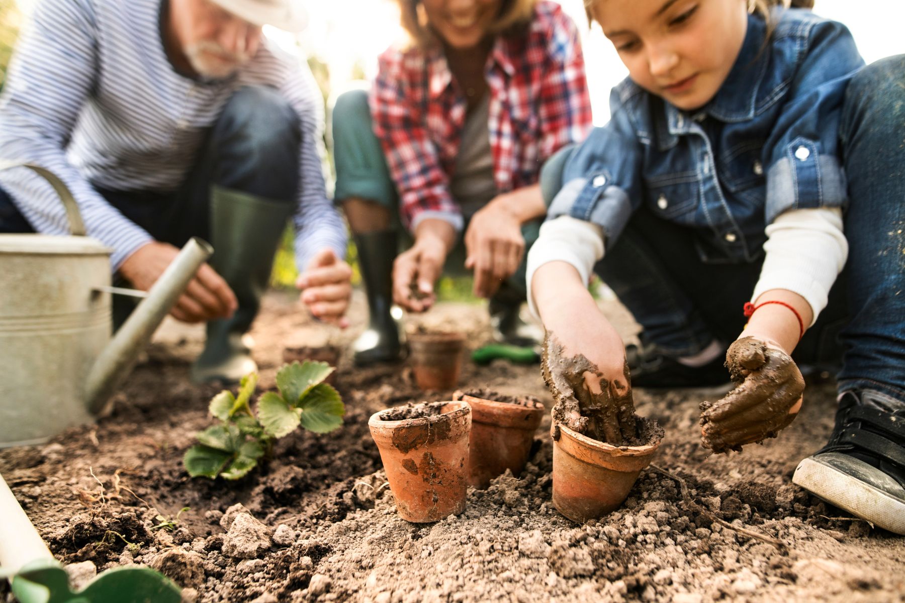 Préparer votre jardin pour l'hiver