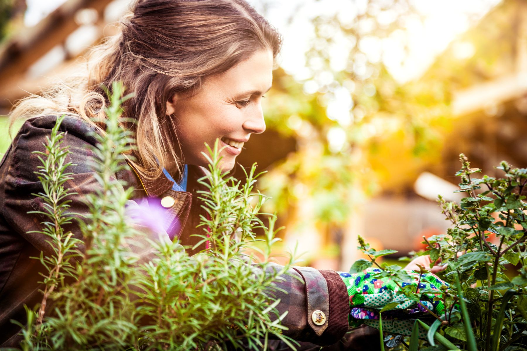 Préparer votre jardin pour l'hiver